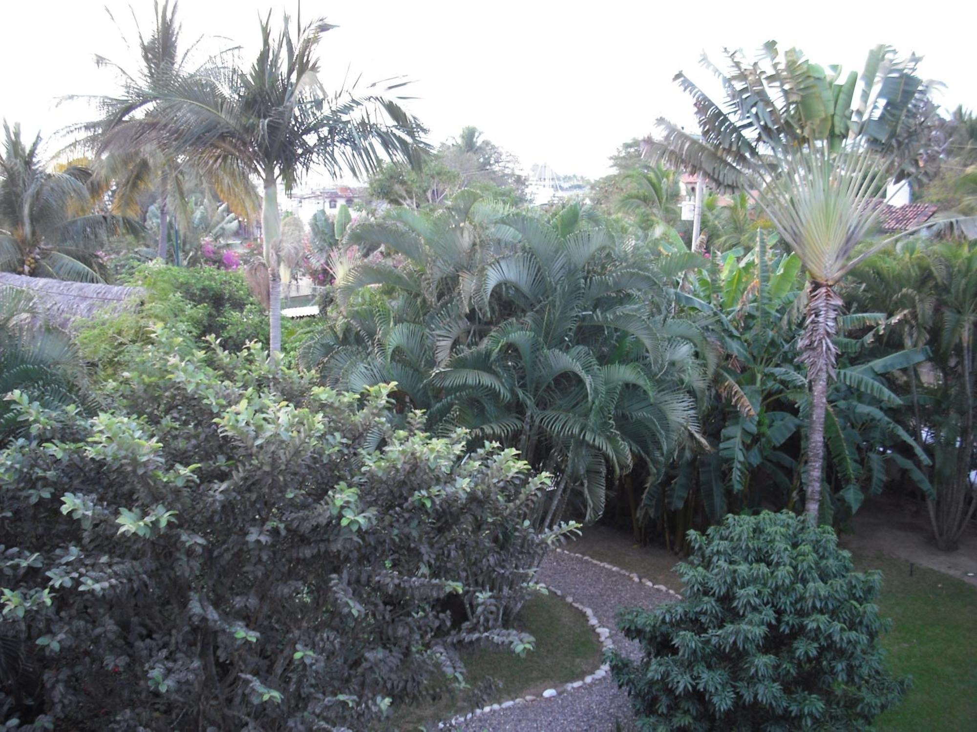 La Cruz de Huanacaxtle Casa Villa Magnolia מראה חיצוני תמונה